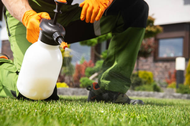 Best Pest Control Near Me  in Palmetto Estates, FL